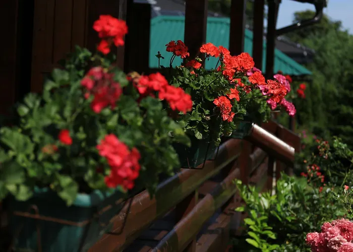 Brvnara Moj San - Log My Dream Chalet Zelin Mrzlovodicki