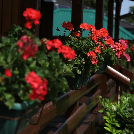 Brvnara Moj San - Log My Dream Chalet Zelin Mrzlovodicki